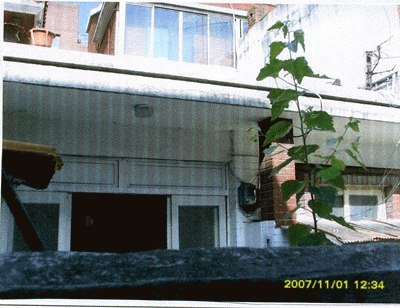 서울중앙지법 2007타경31311-1 사진