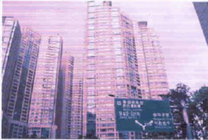 서울동부지법 2008타경6438-1 사진