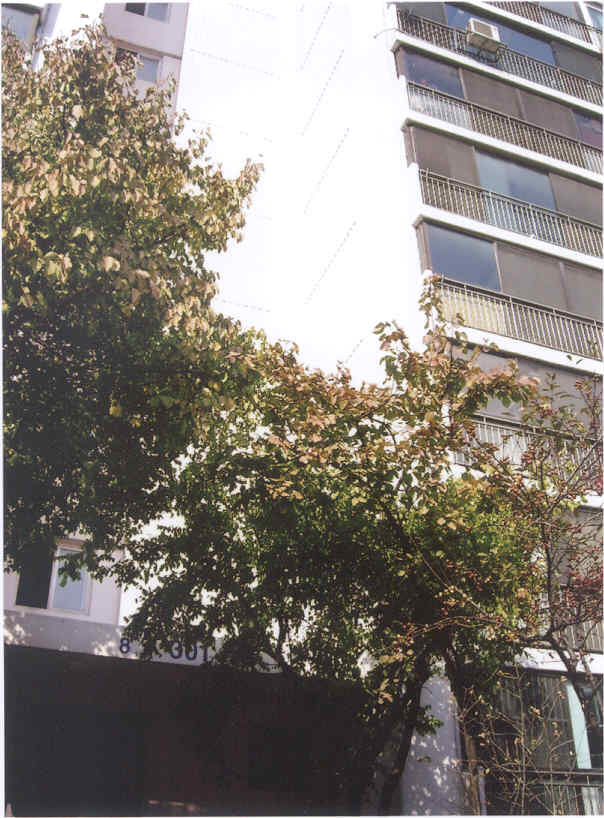 서울북부지법 2007타경25391-1 사진