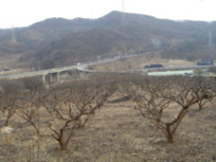 의정부지법 2009타경2722-1 사진