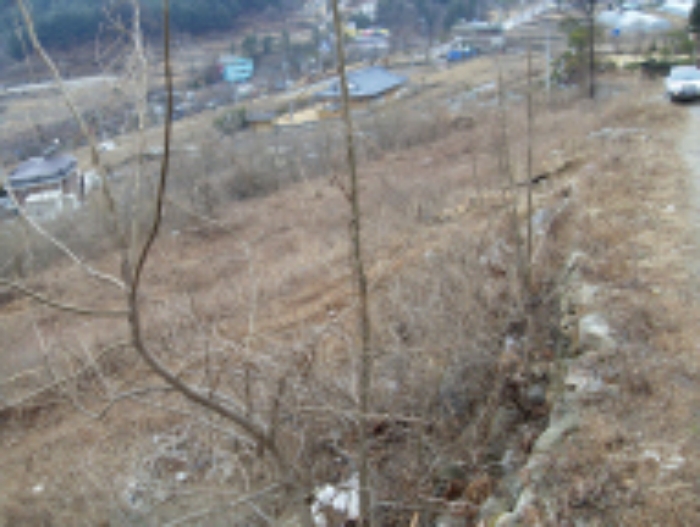 의정부지법 2009타경8201-1 사진