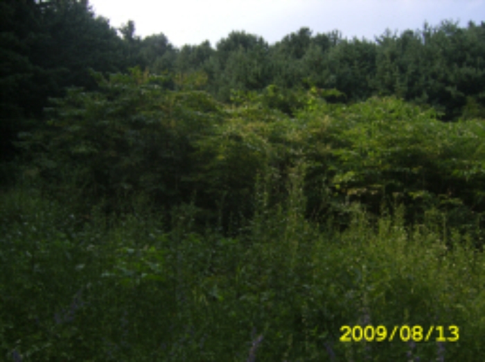 의정부지법 2009타경31218-1 사진