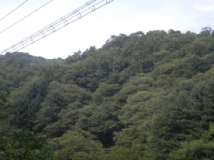 의정부지법 2012타경23866-2 사진