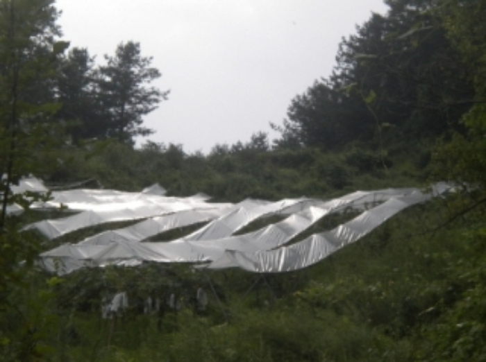 의정부지법 2012타경33856-2 사진