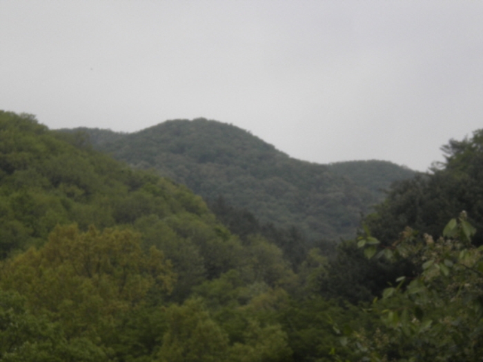 의정부지법 2013타경6820-1 사진