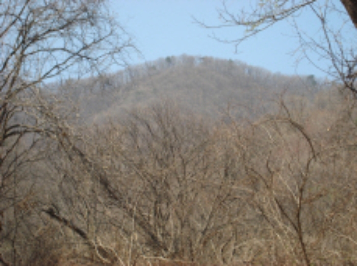 의정부지법 2013타경18465-1 사진