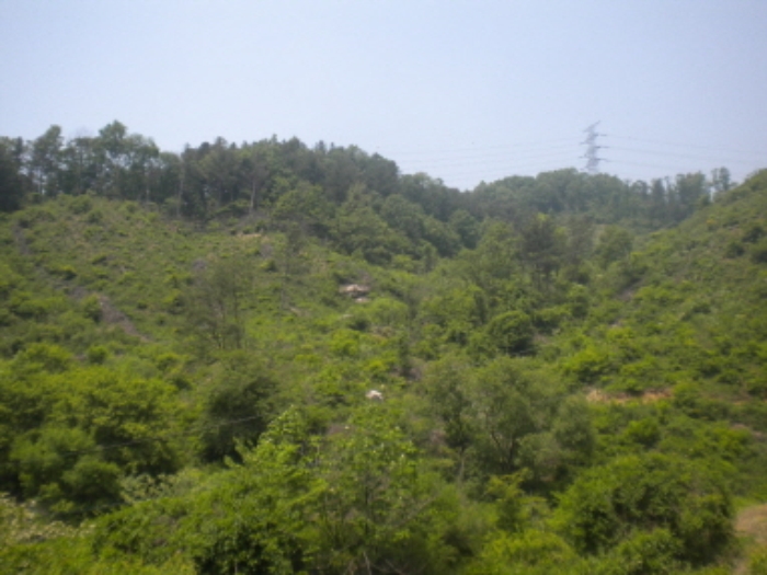의정부지법 2013타경19383-1 사진