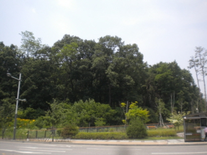 의정부지법 2013타경23931-1 사진