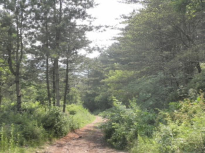 의정부지법 2013타경25852-1 사진