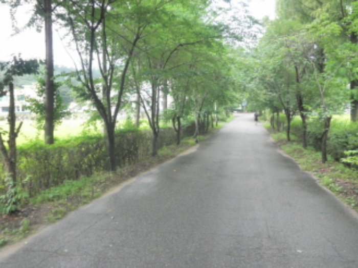 의정부지법 2013타경29519-2 사진
