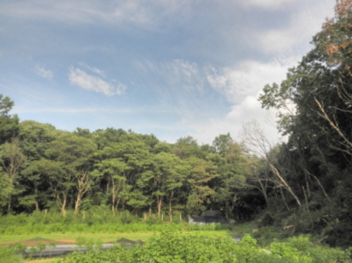 의정부지법 2013타경35217-2 사진
