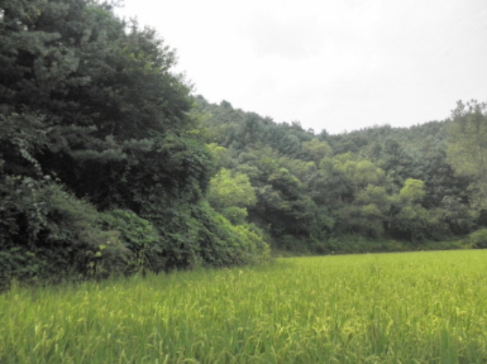 의정부지법 2013타경35972-1 사진
