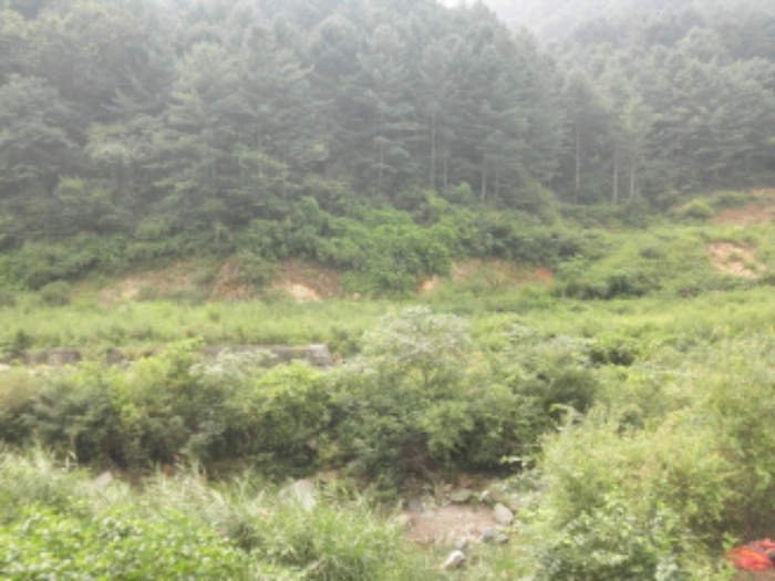 의정부지법 2013타경38339-1 사진