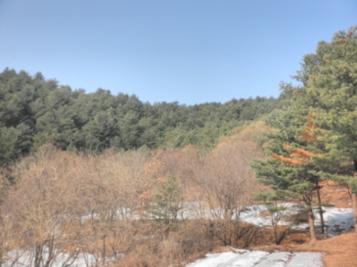 의정부지법 2013타경56580-2 사진