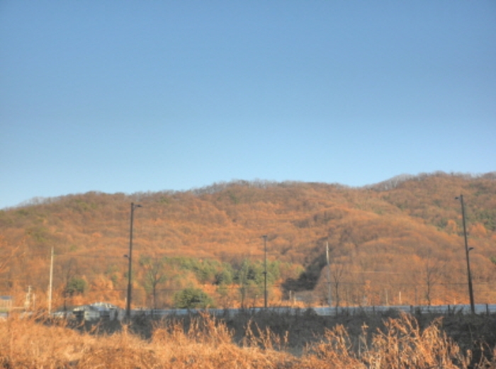 의정부지법 2014타경744-1 사진