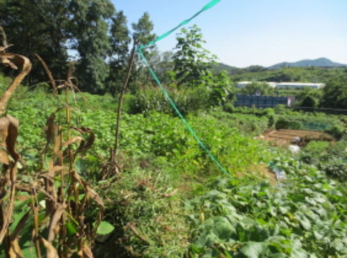 의정부지법 2015타경30827-1 사진