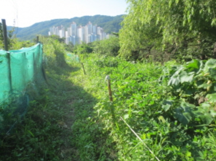 의정부지법 2015타경30834-3 사진