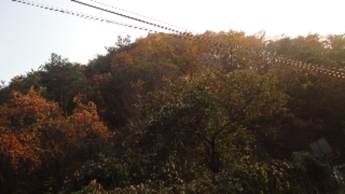 의정부지법 2015타경707769-1 사진