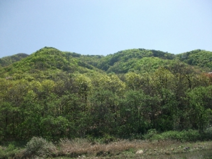 의정부지법 2016타경10097-1 사진