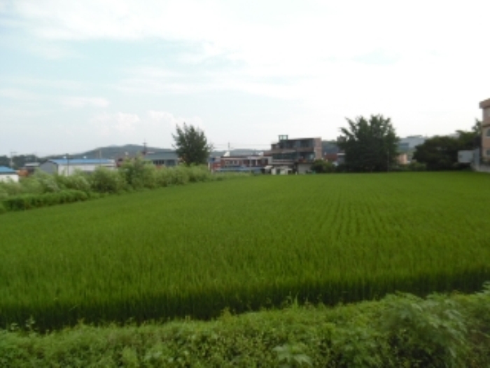 의정부지법 2016타경20063-1 사진