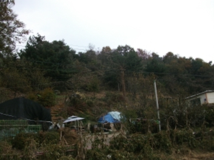의정부지법 2016타경27583-1 사진