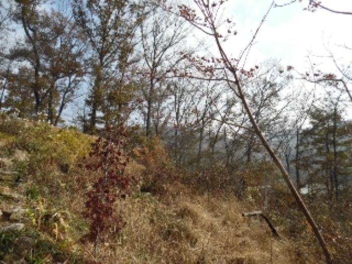 의정부지법 2016타경27767-1 사진