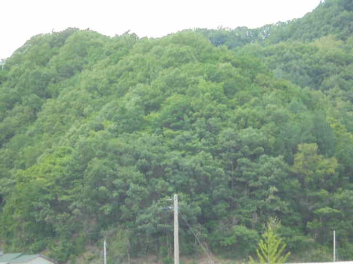 의정부지법 2017타경5849-1 사진