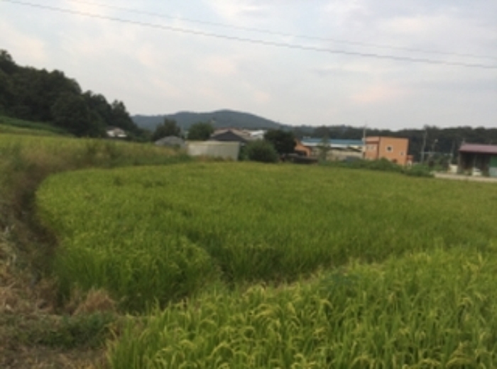 의정부지법 2017타경18951-1 사진