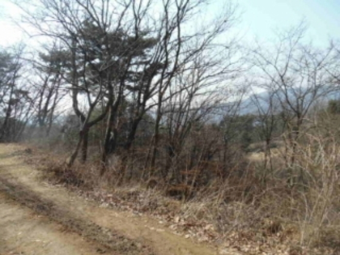 의정부지법 2017타경71877-1 사진
