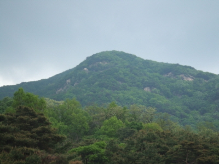 의정부지법 2017타경73453-1 사진