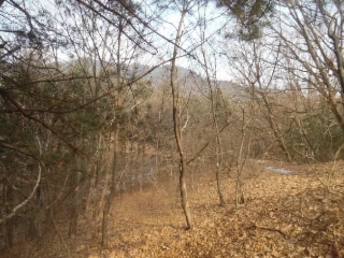 의정부지법 2018타경384-1 사진