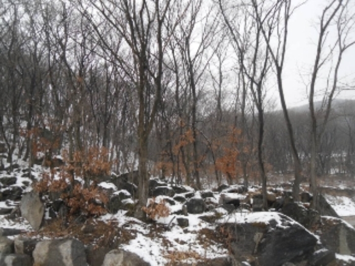 의정부지법 2018타경3956-1 사진