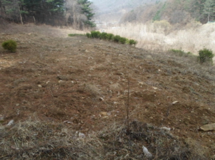 의정부지법 2018타경4836-1 사진