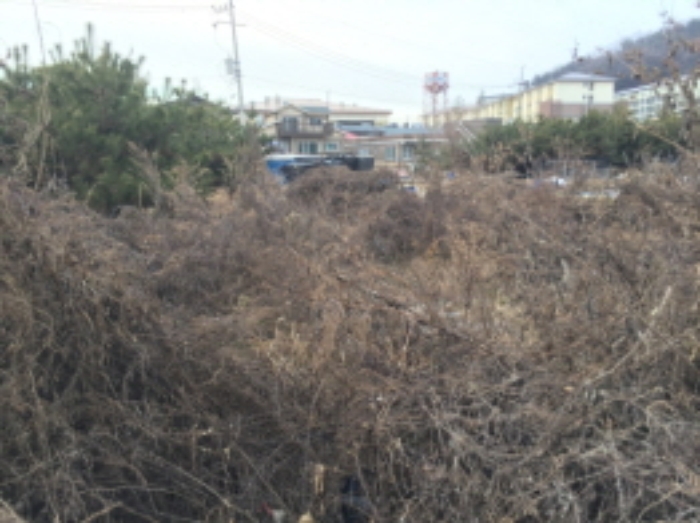 의정부지법 2018타경25093-1 사진