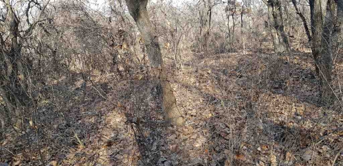 의정부지법 2018타경25710-1 사진