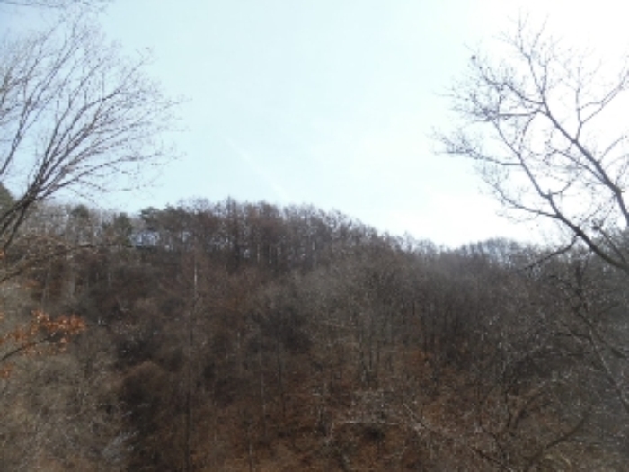 의정부지법 2018타경71744-1 사진
