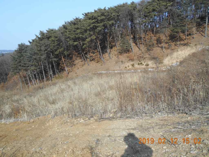 의정부지법 2019타경2035-1 사진
