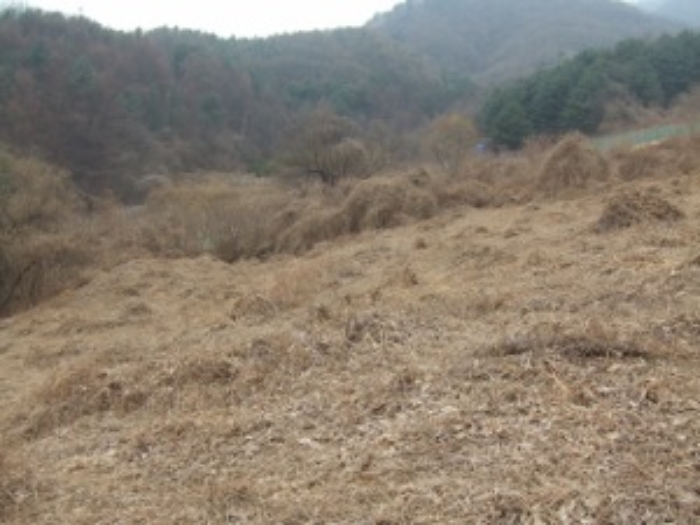 의정부지법 2019타경3038-1 사진