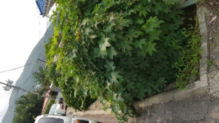 의정부지법 2019타경12629-1 사진
