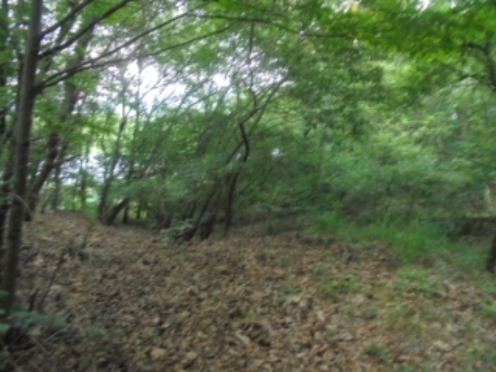 의정부지법 2019타경14038-1 사진
