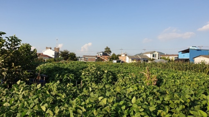 의정부지법 2019타경16911-1 사진