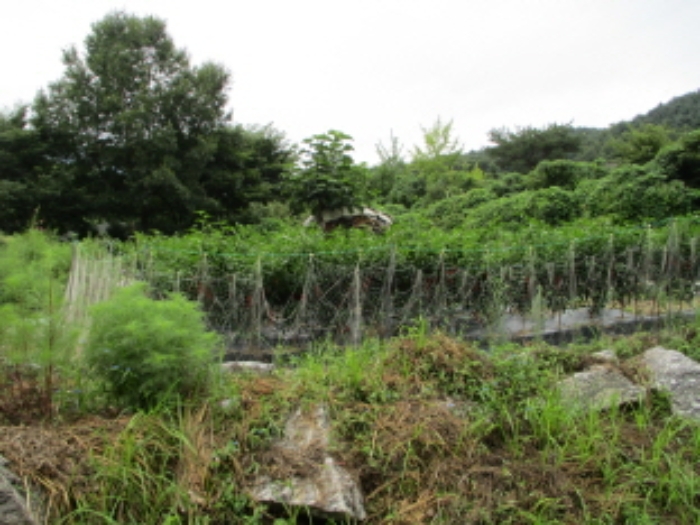 의정부지법 2019타경17174-1 사진
