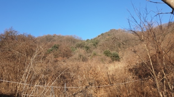 의정부지법 2019타경25281-1 사진
