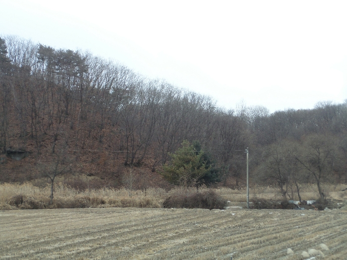 의정부지법 2019타경70168-1 사진