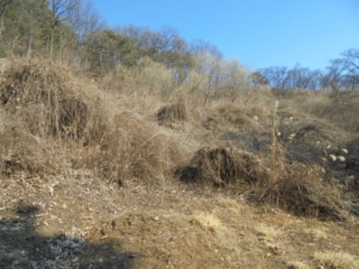 의정부지법 2019타경72010-2 사진