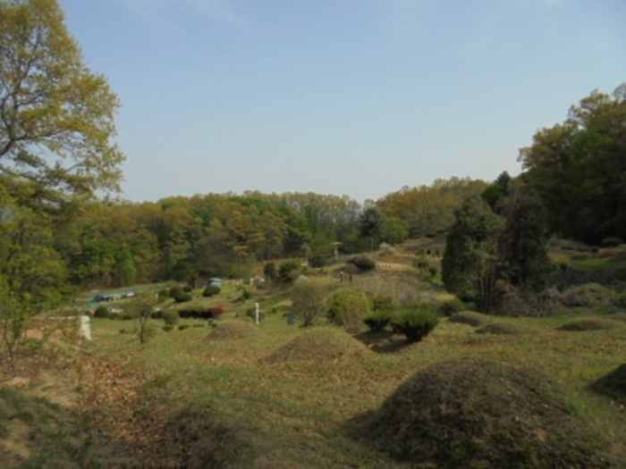의정부지법 2019타경75668-1 사진