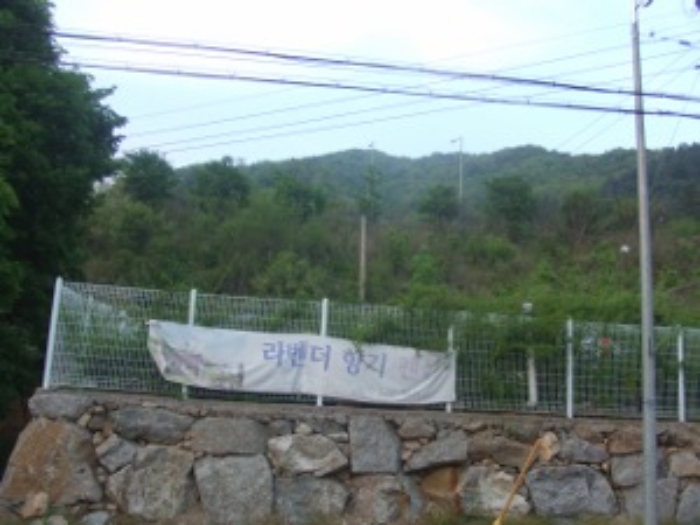 의정부지법 2019타경76388-1 사진