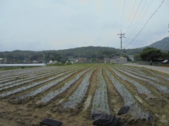 의정부지법 2019타경78513-2 사진
