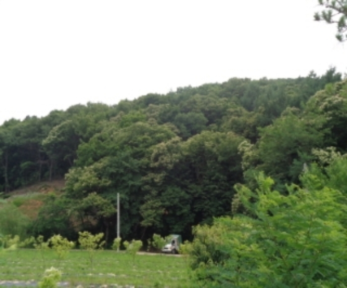 의정부지법 2019타경79080-1 사진