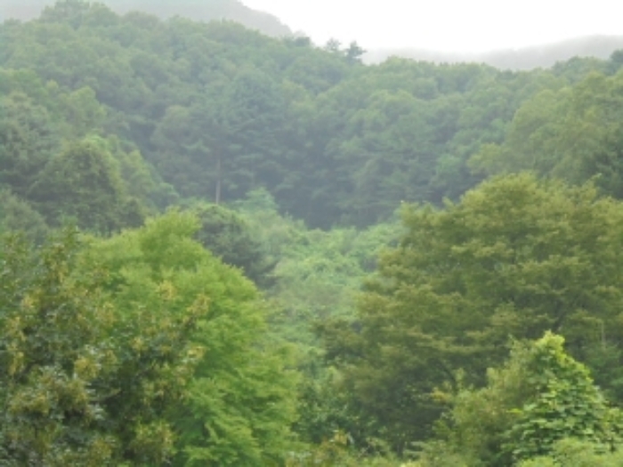 의정부지법 2019타경80585-1 사진